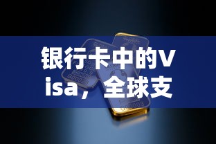 Visa，全球支付与便捷生活的桥梁  第1张