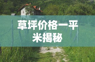 草坪价格一平米揭秘，从成本到市场价值分析  第1张