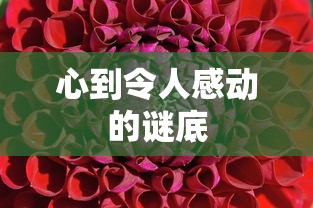 心触感动的谜底  第1张