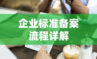 企业标准备案流程详解  第1张