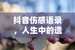 抖音伤感语录，人生遗憾与感悟的交织  第1张