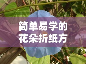 简单易学的花朵折纸方法教程  第1张