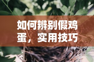 辨别假鸡蛋的实用技巧与步骤  第1张