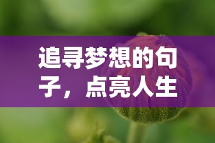 湖南卫视跨年演唱会2025免费观看  第1张