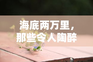 海底两万里，醉人好句之韵  第1张