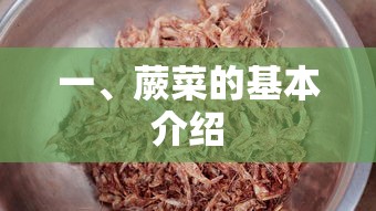 蕨菜，自然美味与健康的选择  第1张
