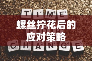 螺丝拧花后的应对策略  第1张