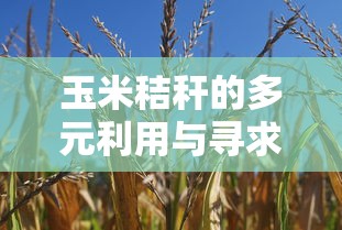imToken钱包安全性深度解析  第1张