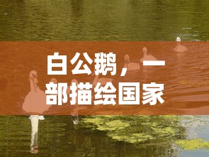 边伯贤应援色是什么颜色  第1张