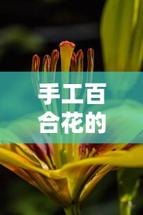 手工百合花制作步骤指南  第1张