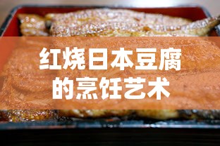 红烧日本豆腐，烹饪的艺术与美味之道  第1张