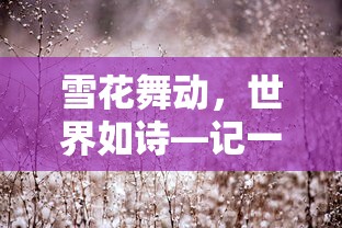 雪花舞动，诗情画意的雪景世界  第1张