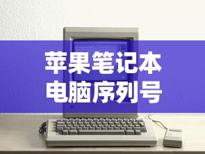 苹果笔记本电脑序列号查询方法全解析  第1张