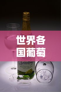 世界各国葡萄酒等级的划分与解读  第1张