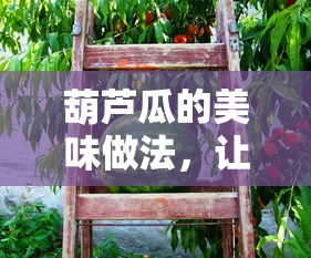 葫芦瓜的美味秘制做法，一尝难忘的滋味盛宴  第1张