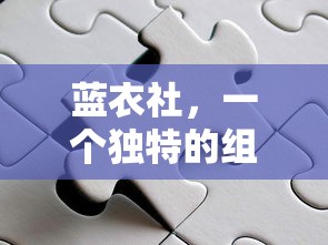 蓝衣社，独特组织的深度解析  第1张