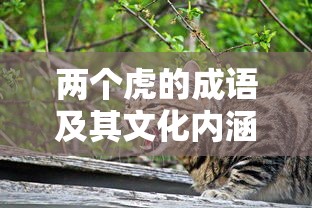 两个虎的成语及其文化内涵探究  第1张