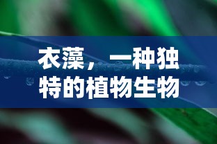 华泰汽车图片大全  第1张