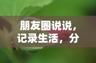 朋友圈记录生活，分享心情的点滴瞬间  第1张