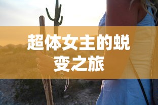 中专学历认证，流程与地点详解  第1张