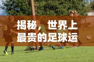 揭秘，谁是最贵的足球运动员？  第1张