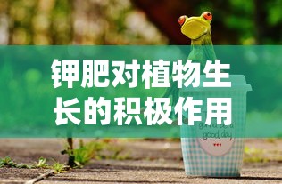 钾肥对植物生长的积极作用  第1张