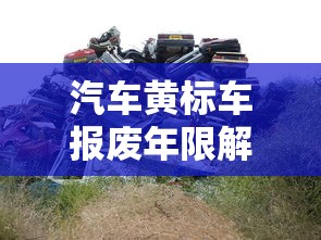 汽车黄标车报废年限解析  第1张