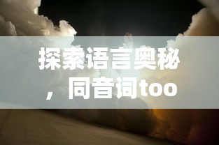 探索同音词too的奇妙世界，语言奥秘之旅  第1张
