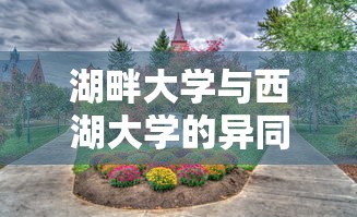 谈歌的资料简介  第1张