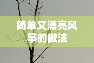 简单又漂亮的DIY风筝制作方法  第1张