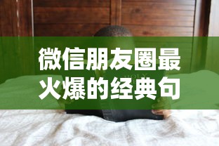 微信朋友圈热门经典句子精选  第1张