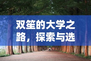 双笙的大学之路，探索与选择  第1张