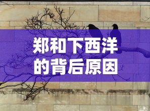 郑和下西洋的背后原因探析  第1张