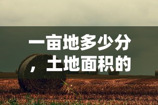 一亩地等于多少分，土地面积的深度解析  第1张