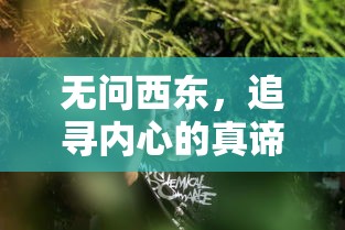 手表星期英文缩写对照表  第1张