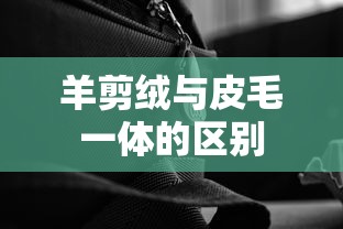 羊剪绒与皮毛一体的区别  第1张
