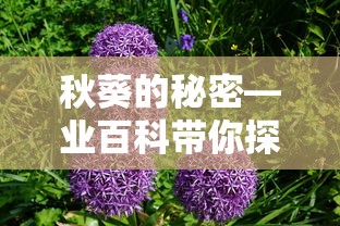业百科之秋葵的秘密，探索与发现  第1张