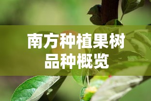 南方种植果树品种概览  第1张