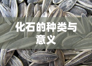 化石的种类及其地质意义。  第1张