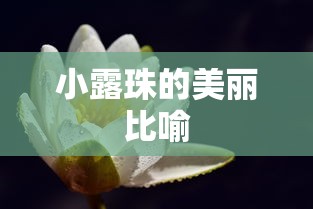 小露珠的美丽比喻，晨光下的晶莹诗篇  第1张