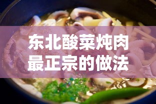 东北酸菜炖肉最正宗的做法  第1张