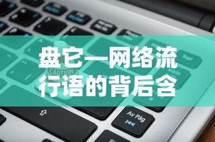 盘它，网络流行语背后的含义  第1张