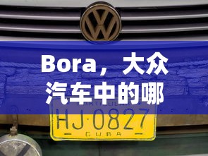 Bora是大众汽车中的波罗车型。  第1张