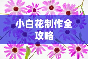 小白花制作全攻略  第1张