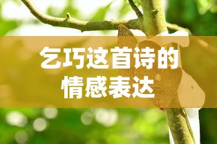 乞巧诗中的情感表达，对美好生活的向往与期盼  第1张
