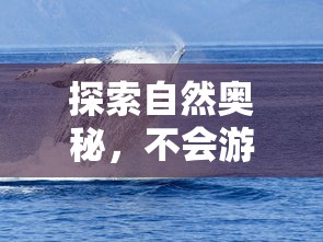 悠悠球安装教程，从零开始，轻松掌握的秘诀  第1张
