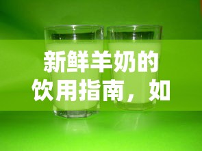 新鲜羊奶的饮用指南，如何正确享用羊奶的秘诀  第1张