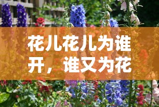 花儿等待，为谁绽放的美丽  第1张