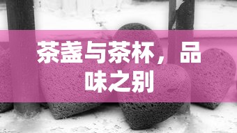 茶盏与茶杯，品味之别  第1张