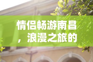 洛克王国平民必备神宠pve  第1张